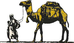 A camel carrying a load being led by a man