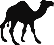 A camel silhouette