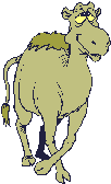 Animated cartoon-style camel