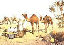 A camel caravan at an oasis